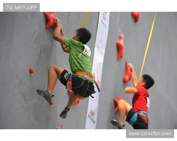 杭州飞盘队在攀岩联赛中的意识表现分析与评价