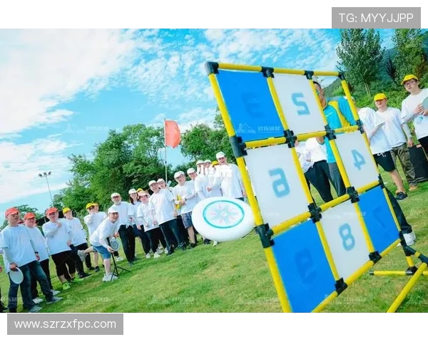 武汉飞盘队在世界街舞大赛中的意识表现与团队协作分析 武汉飞盘队在世界街舞大赛中的意识表现与团队协作分析