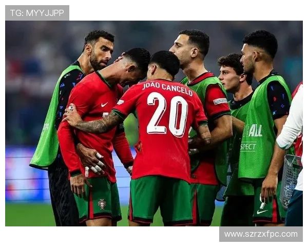 2012年欧洲杯经典对决葡萄牙与西班牙的激烈较量回顾