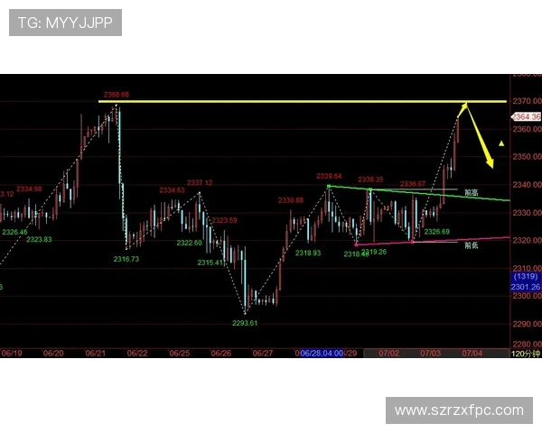 飞盘战术解析：深入剖析北京飞盘队的防守与反击策略