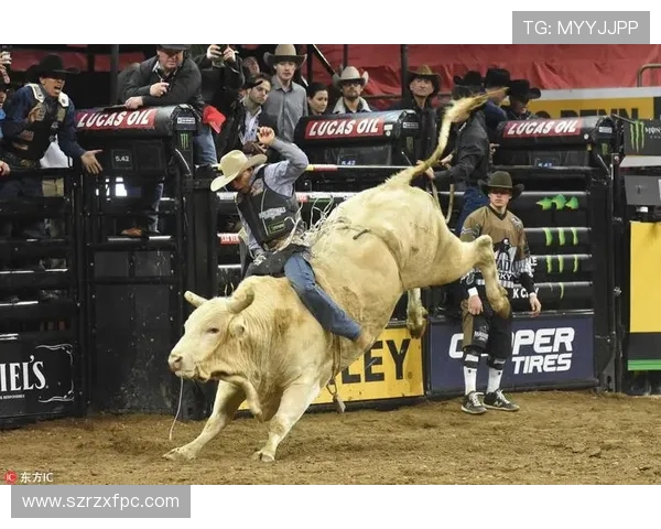 上海极限运动队引领最新耐力运动TOP10榜单挑战极限极致体验 上海极限运动队引领最新耐力运动TOP10榜单挑战极限极致体验